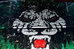 关于里程碑夜北京国安战术微调转会期斯图加特防线松动，罗马今晨伤情更新瞬间刷屏的信息